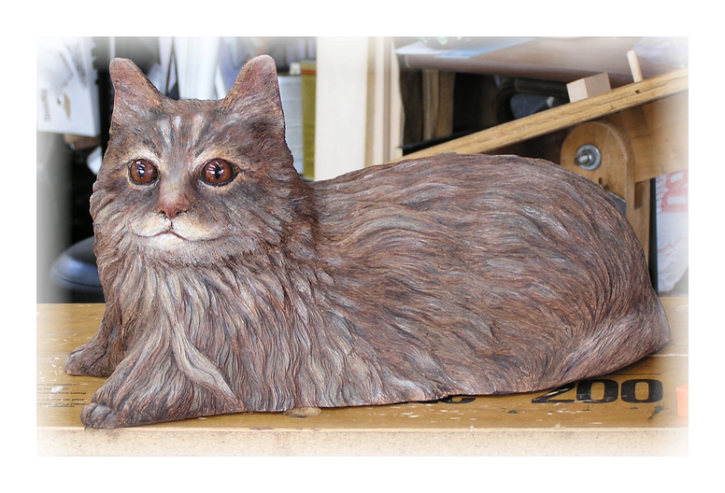 Maine Coon Cat 04-19-09