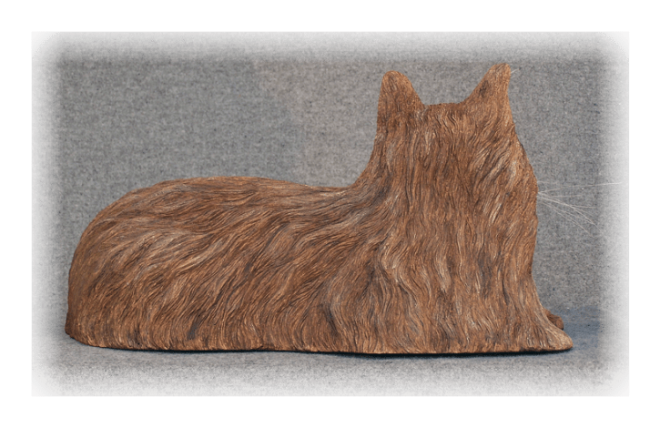 Maine Coon Cat 04-20-09 Back View