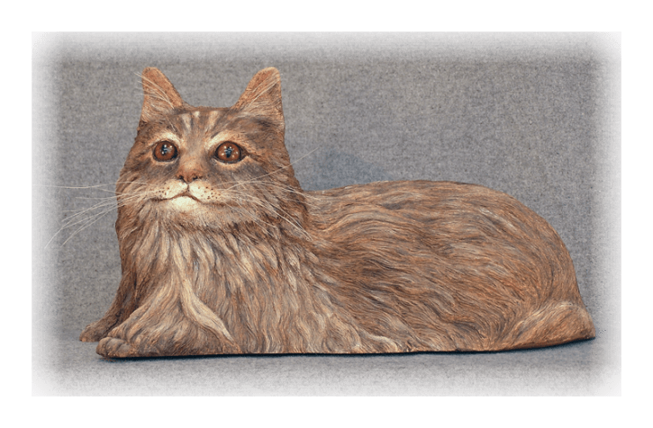 Maine Coon Cat 04-20-09