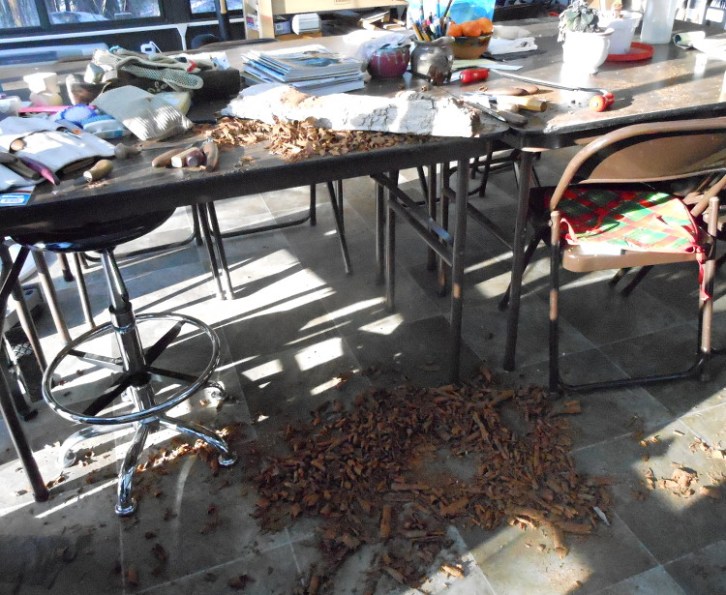 Lots of bark chips!!!