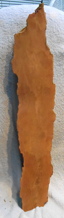 The back looks a whole lot nicer now!